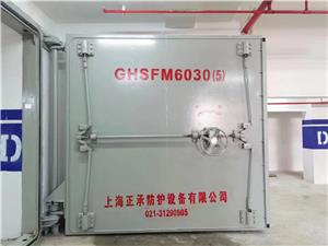 钢结构活门槛双扇防护密闭...